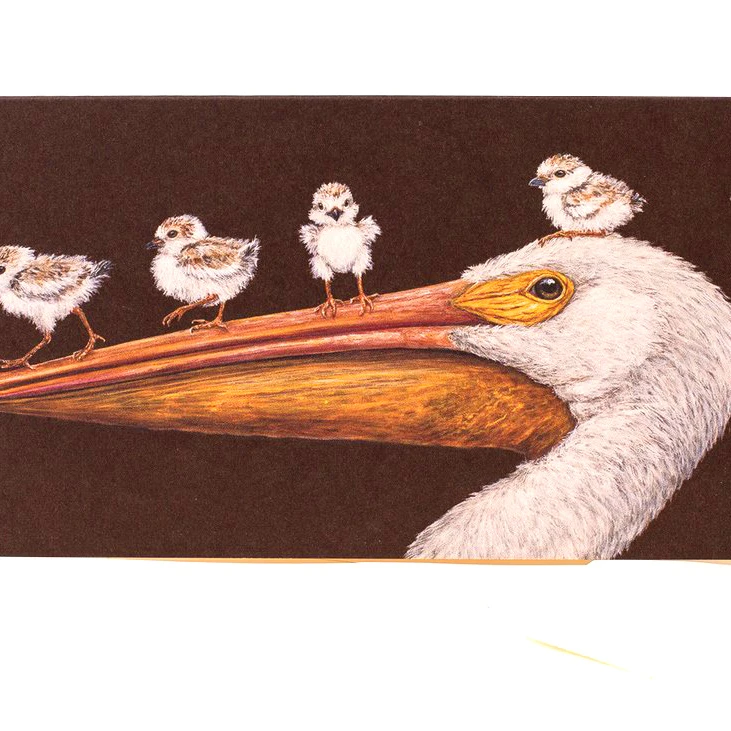 Фабрика карандашей Vicki Sawyer Flight School Pelicans 6 &quotx 3 25&quot Чистая поздравительная