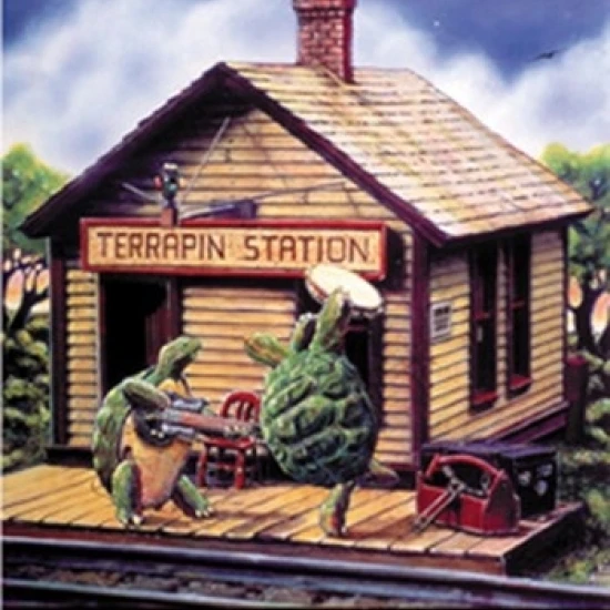 Ламинированный плакат с изображением станции Terrapin (22x34)|Таблички и знаки| |