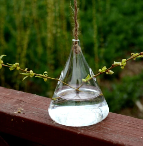 1 шт. подвесная стеклянная гидропонная ваза для цветов/Сказочный Сад DIY Террариум
