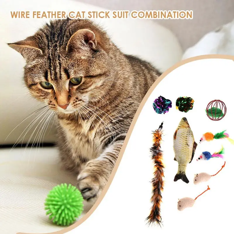

Pet Cat Toy Set Telescopic Feathers Cat Teaser Mouse Shape Toy 11 Pieces
