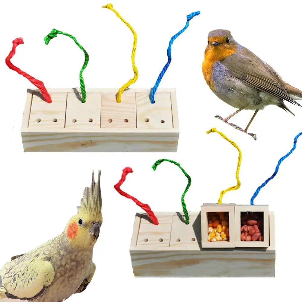 

Pet Color Changing Feeder Bird Parrot Educational Toy Foraging Device Large Parrot Puzzle Bird Toys