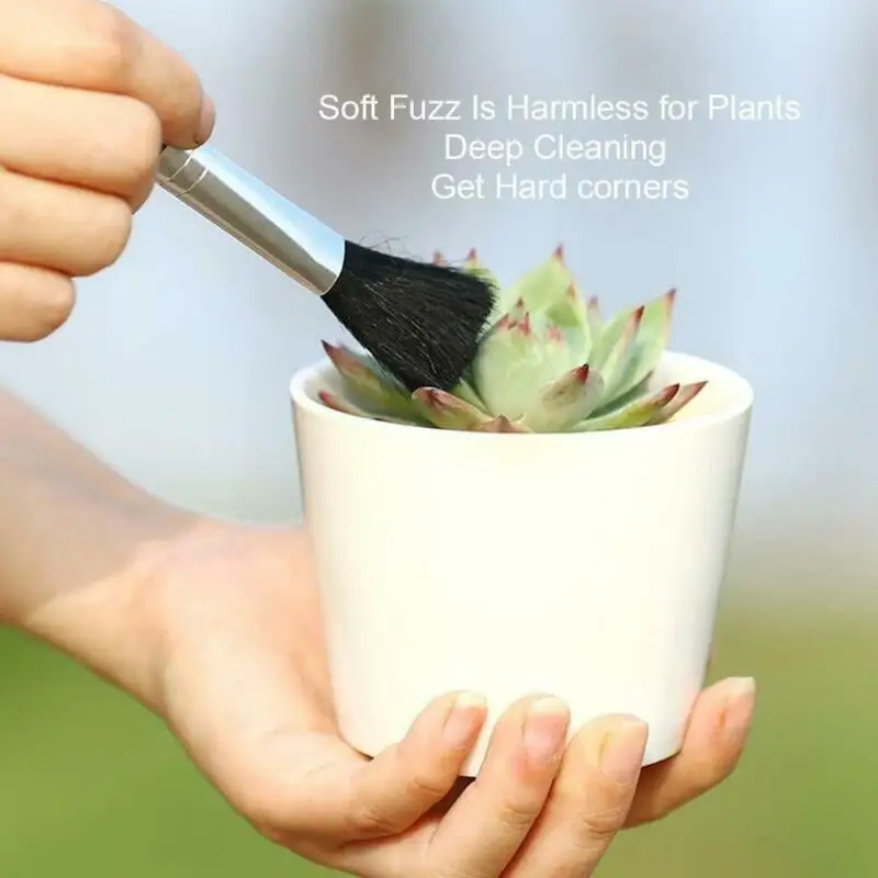 14 шт. суккулентные растения горшечные инструменты лопата грабли Садоводство