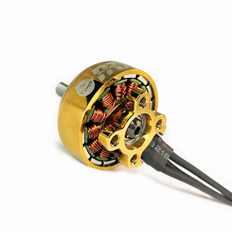 Бесщеточный мотор FLYWOO NIN N2306 2 6S FPV 1750/2450/2750KV золотистого/серебристого цвета для