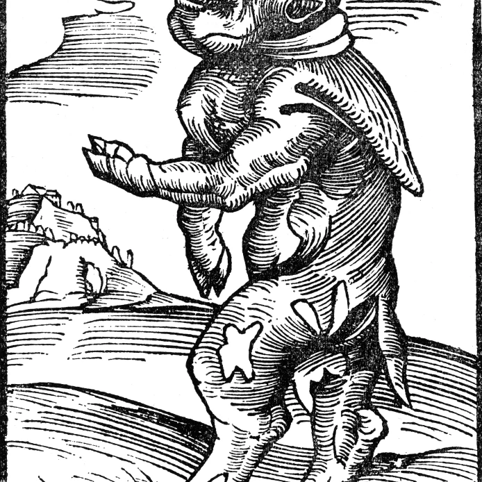 Монах теленок Реформации постер с изображением монстра печать по науке источник