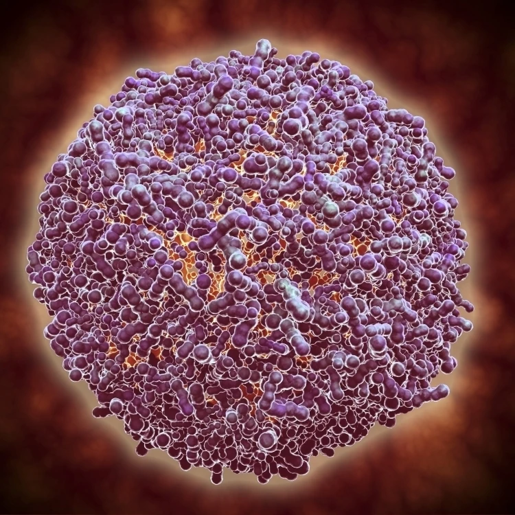 Microscopic view of Sindbis virus Poster Print (32 x 24) | Дом и сад