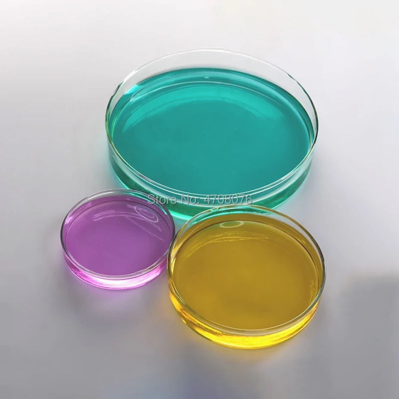 Platos de Petri de borosilicato con cubierta, plato Cultural de cultivo de vidrio, vajilla de Petri para experimentos de laboratorio, diámetro de 100mm, 2 juegos/caja