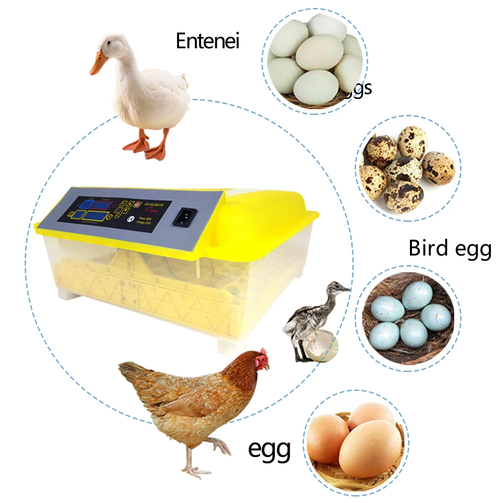 Автоматический 48 Led дисплей инкубатор для яиц Мини домашнего использования птицы