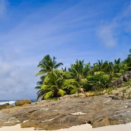 Anse Bambous Beach on Fregate Island Сейшельские Острова плакат печать Элисон Райт (11x17)|Таблички