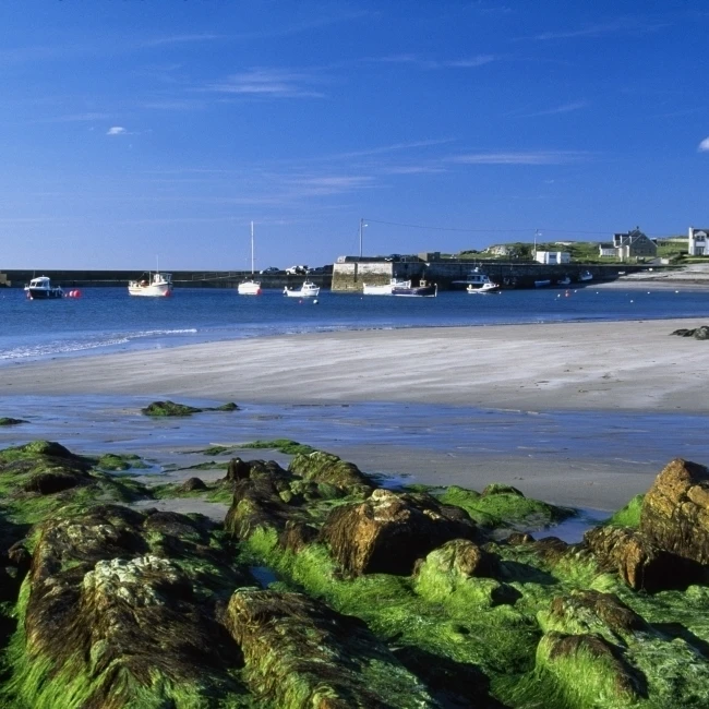 Seashore Portnablagh графство Донегал Ирландия плакат печать (18x12)|Таблички и знаки| |