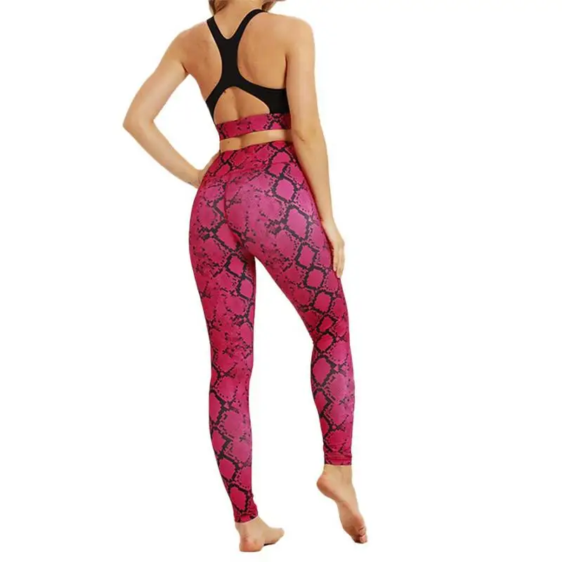 Из двух частей спортивный костюм для женские костюм-влаги влагу плотно Змеиный