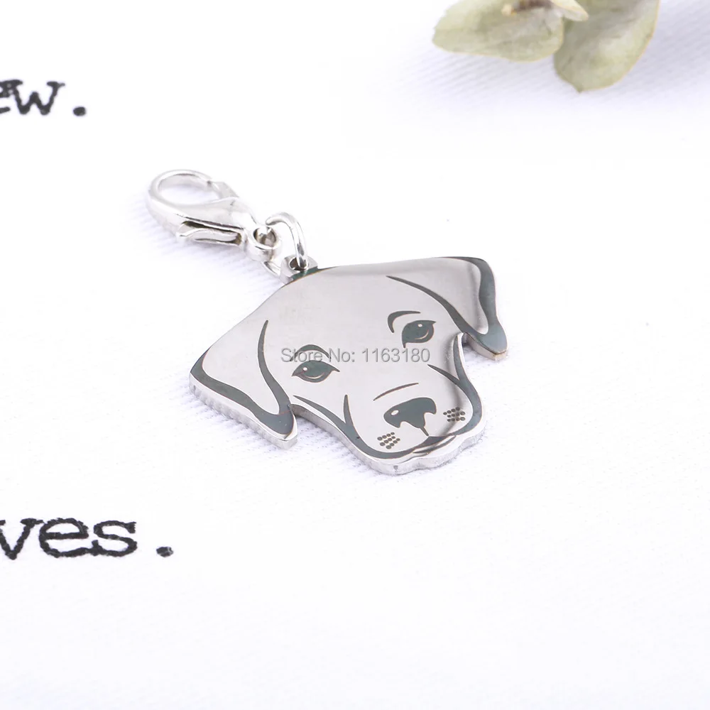 Etiqueta de identificaci&oacute;n personalizada para mascotas, etiqueta de acero inoxidable con grabado para perros, accesorios para Collar de mascotas, 12 unids/lote-2