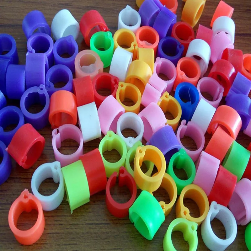 Mix Цвет 8 мм опорное кольцо полос птица клип на ноге кольца для голубь Голубь Chicks