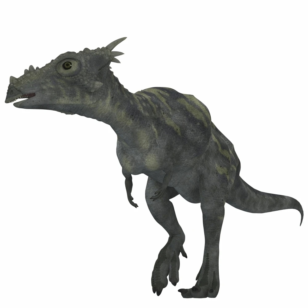 Dracorex плакат с динозавром печать (28x28) | Дом и сад