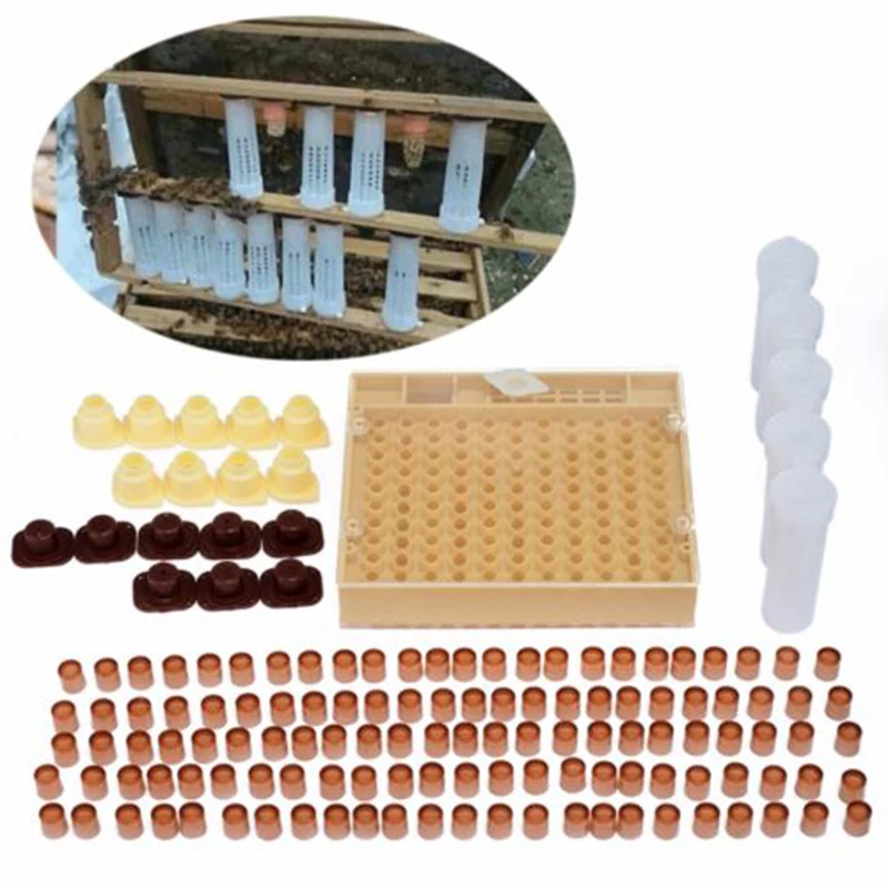 143 шт. набор для пчеловодства инструментов пчеловодства|Инструменты