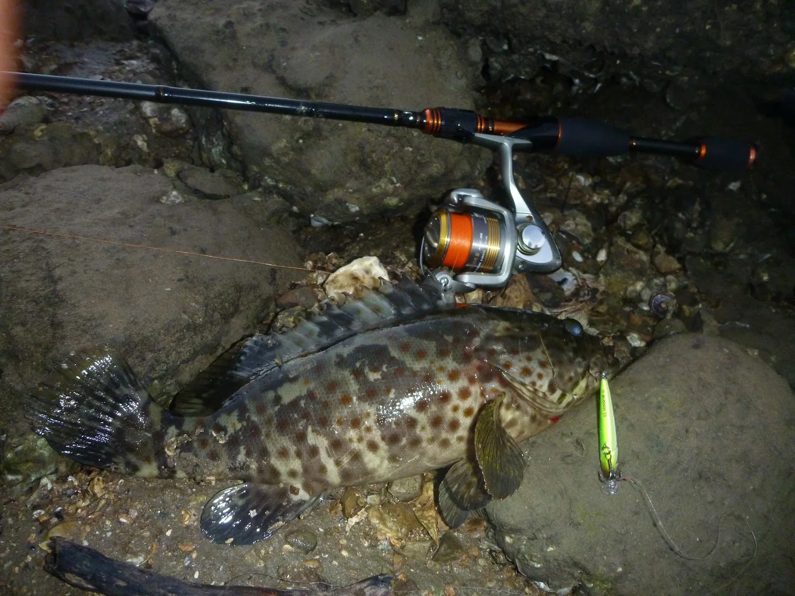 Оригинальная ульсветильник рыболовная приманка Rapala Ulm06 в форме гольяна 6 см/4 г