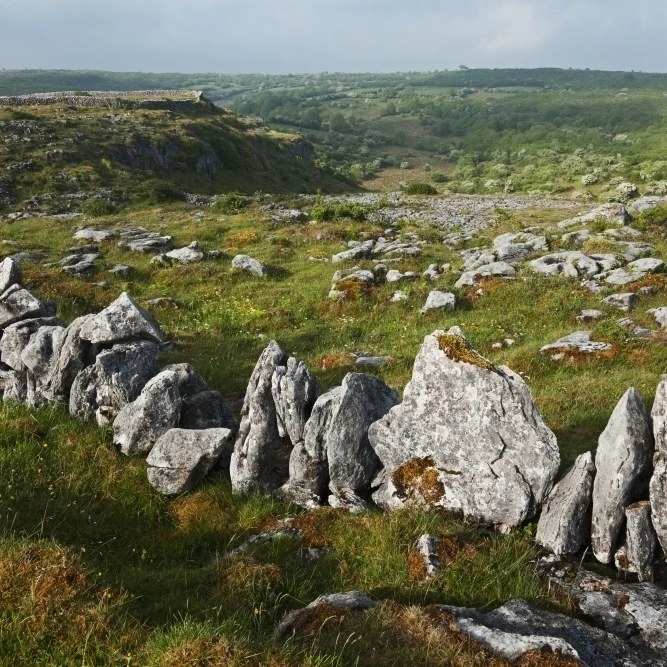 Каменная стена возле килфеноры Burren County Clare Ireland плакат печать (38x24)|Таблички и