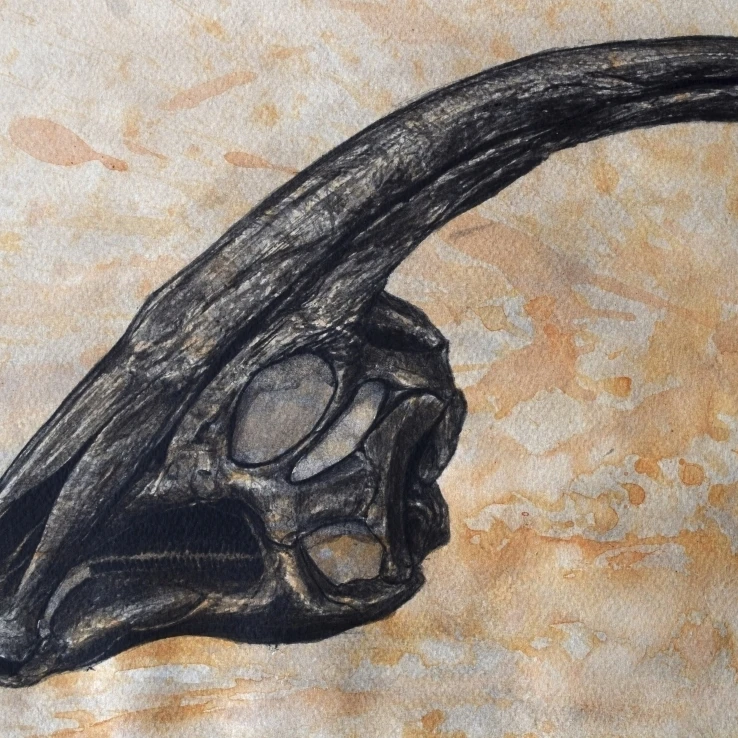 Parasaurolophus walkerii череп динозавра плакат печать (32x24)|Таблички и знаки| |