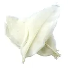 50 шт. 5-6 дюймов натуральный Скелет листья магнолии ремесло Топпер украшение белый для изготовления мыла DIY принадлежности украшения