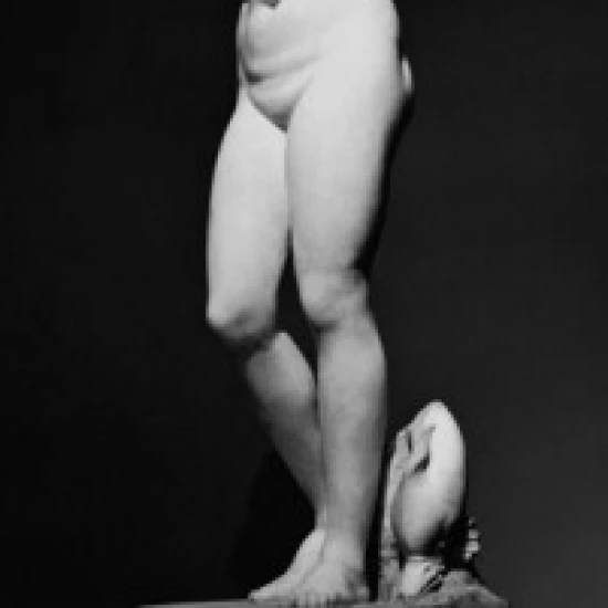 Aphrodite греческий арт постер принт (18x24) | Дом и сад