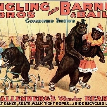 Плакат Pallenberg's Wonder Bears Circus (36x54) | Дом и сад