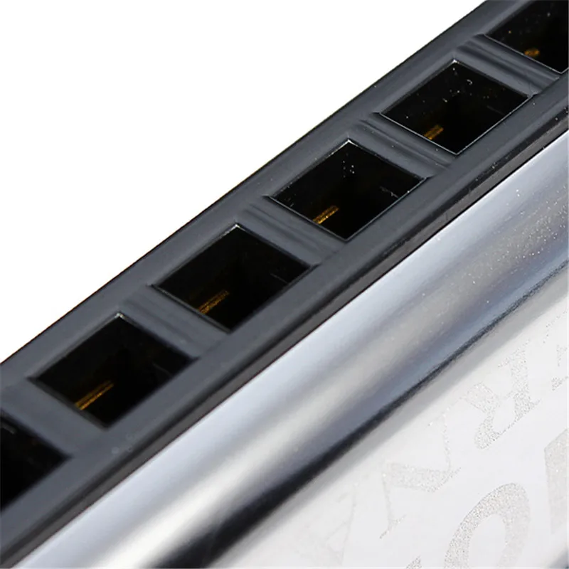 C Key 10 отверстий Губная гармошка Блюз Джаз органный рот с чехлом коробка гармоники