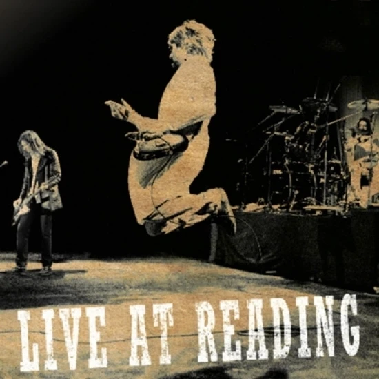 Nirvana Live At Reading ламинированный плакат (24X36)|Таблички и знаки| |