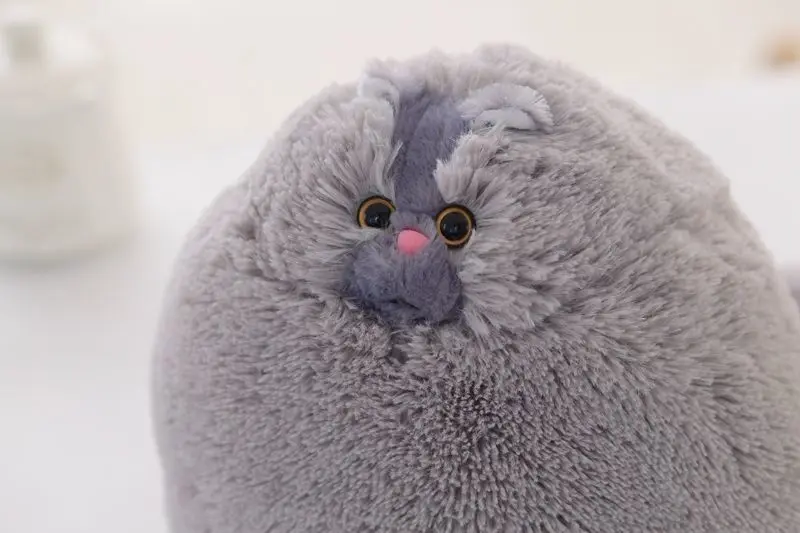 30cm Plush Toy Pillow Persian Fat Cat Round Ball Shape Cushions Fancy Doll Gift | Игрушки и хобби