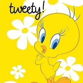 Ламинированный плакат Tweety Hfe (24x36)|Таблички и знаки| |