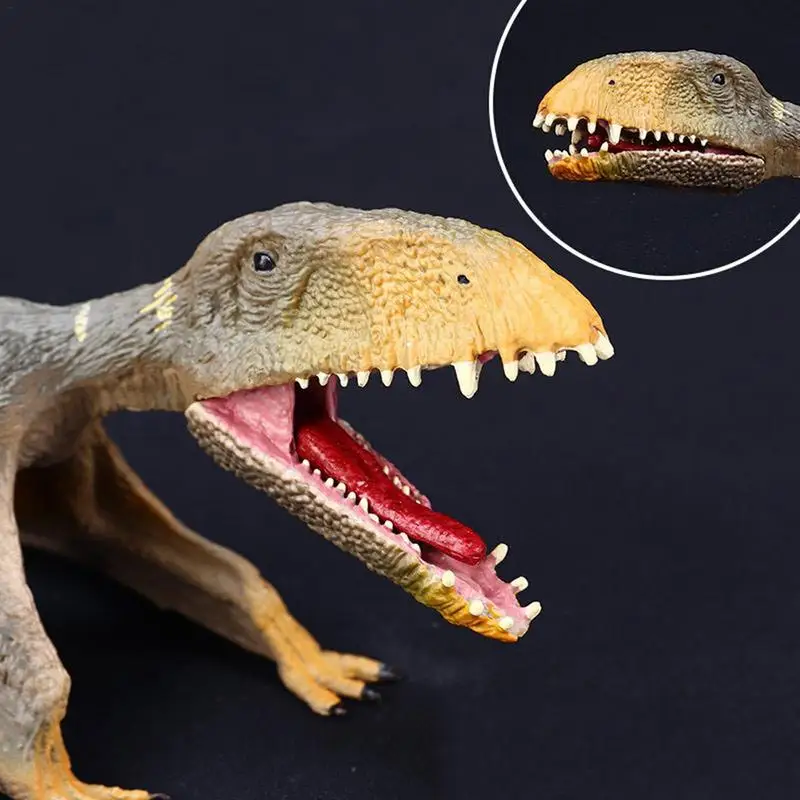 

Solid PVC Pterosauria Bird Pterosaur Model Plastic Animals Figures Action Jurassic Toys For Children Dinosaur Figures custody