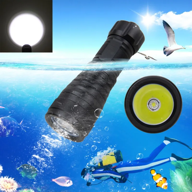 XM-L L2 1000 люмен светодиодный фонарик для дайвинга водонепроницаемый твердый анодированный Подводный фонарь 200 м для дайвинга с аквалангом та...