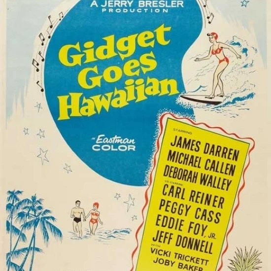 Гиджет идет Гавайский постер (27x40) | Дом и сад