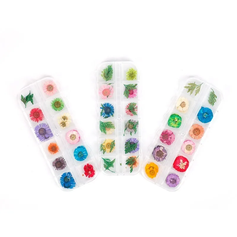 12 ячеек для дизайна ногтей сушеные цветы смешанный лист украшения натуральные