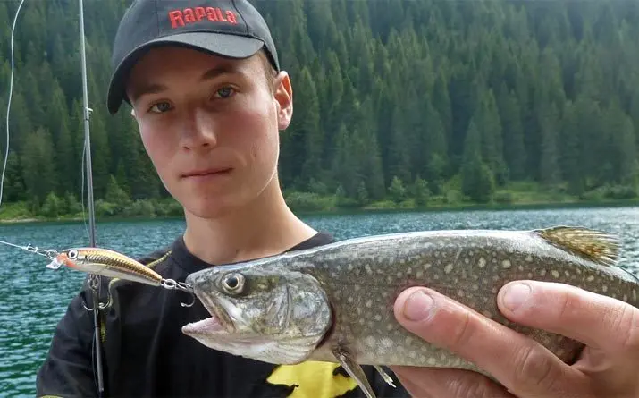 Оригинальная ульсветильник рыболовная приманка Rapala Ulm06 в форме гольяна 6 см/4 г