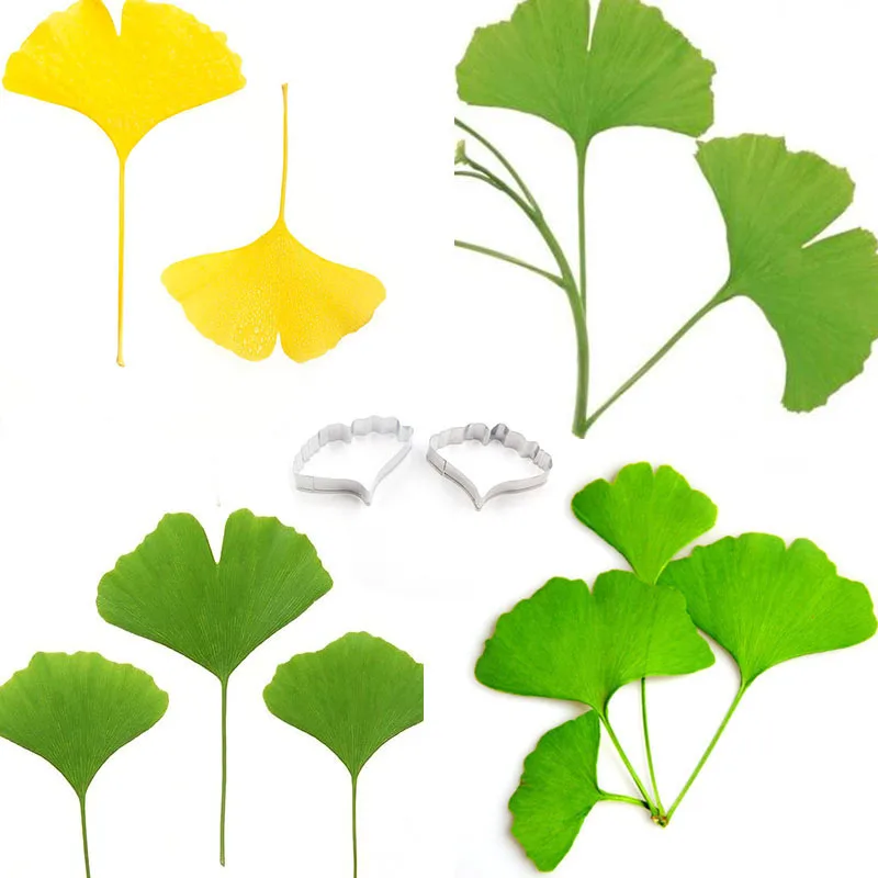 Stainless Steel Ginkgobiloba Leaf Shape Cutting Mould Ginkgo Cutter Clay Tools | Дом и сад