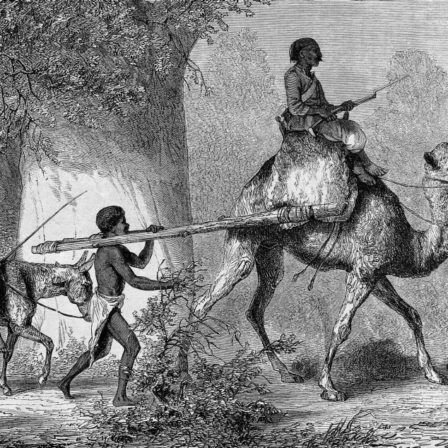 Черные дети привели в рабство 19 века плакат печать по науке источник (36x24) | Дом и