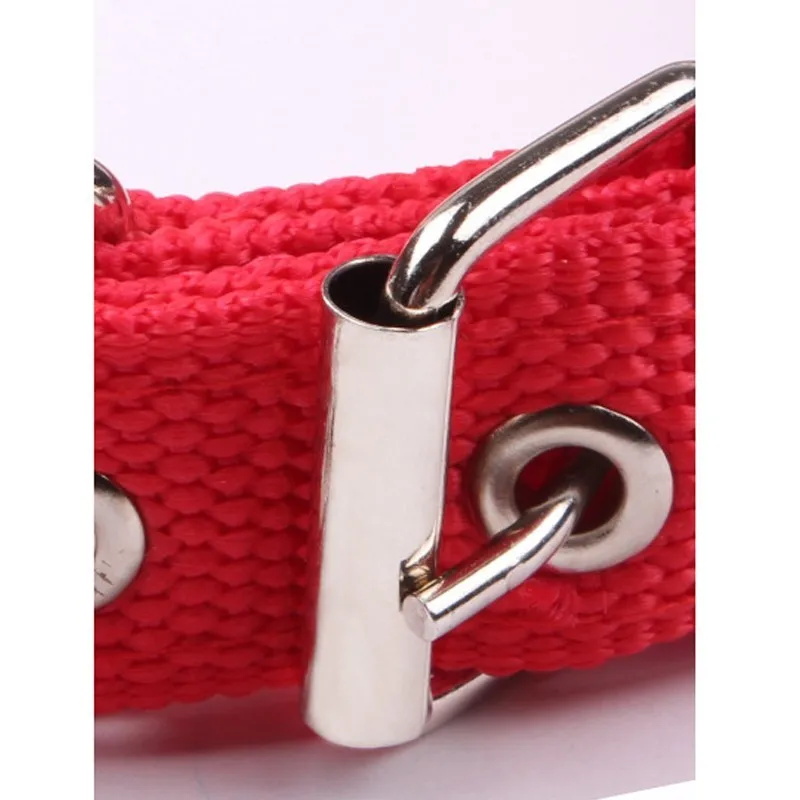 Регулируемый нейлоновый ошейник для собак выдвижной полипропиленовый щенка