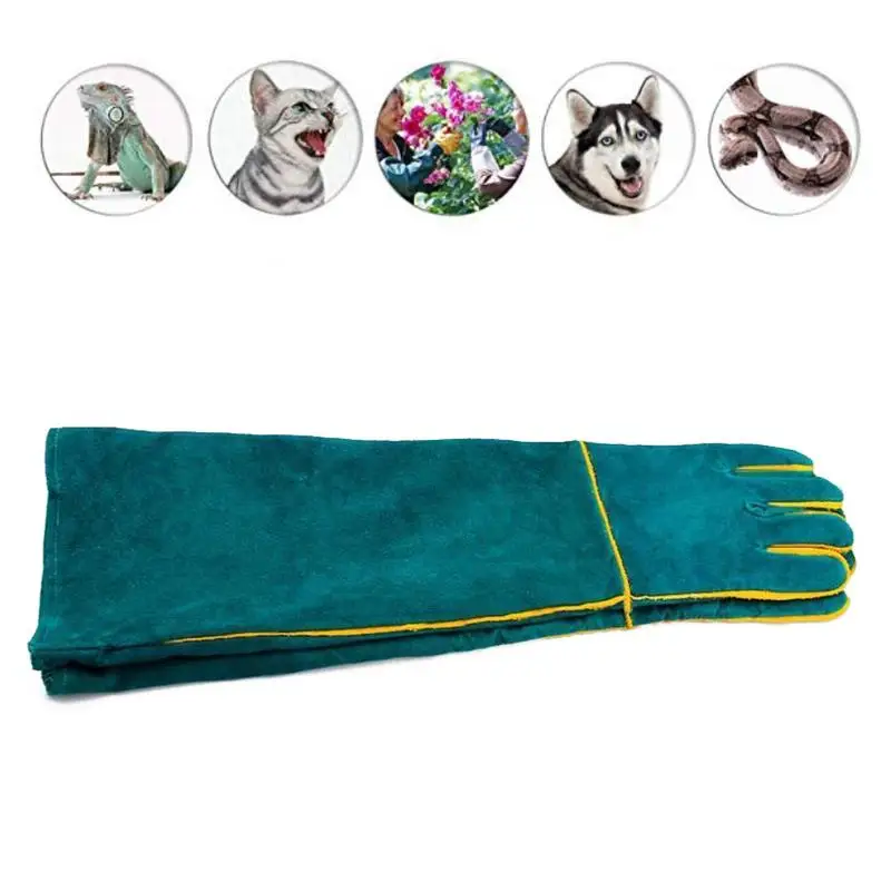 Подняться ПЭТ рептилия Зеленый Лев ящерица змея кошка собака защитные перчатки