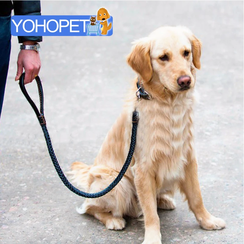 Высококачественный кожаный поводок для собак/поводок цепочка ошейники собак