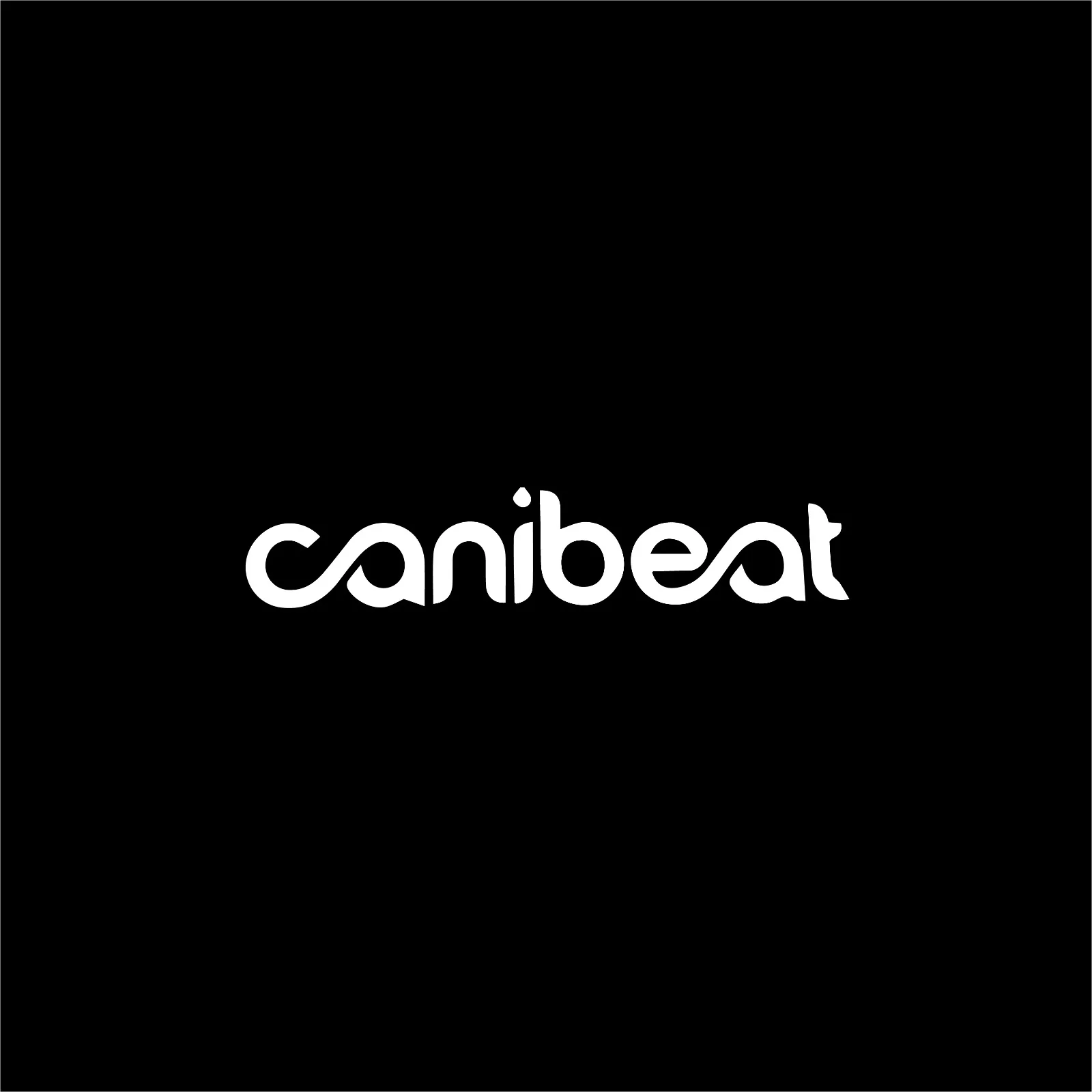 Виниловая наклейка canibeat stance nation import тюнер illmotion JDM 15 см|Наклейки для творчества| |