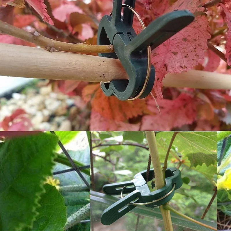 100 шт садовые фруктовые лозы растение поддержка ing пластиковые зажимы