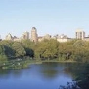 Central Park Upper East Side NYC Нью Йорк штат США плакат печать (36x12)|Таблички и знаки| |