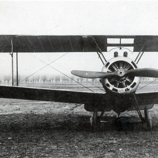 WWI Sopwith Camel Fighter плакат с самолетом печать по науке источник (24x18)|Таблички и знаки| |
