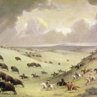 The Buffalo Hunt Paul Kane (1810 1871 канадский) постер печать (18x24)|Таблички и знаки| |