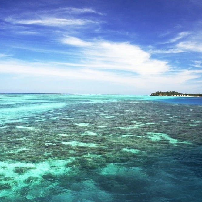 Вид из океана на остров Мана ОСТРОВА МАМАНУКА (17x11) | Дом и сад