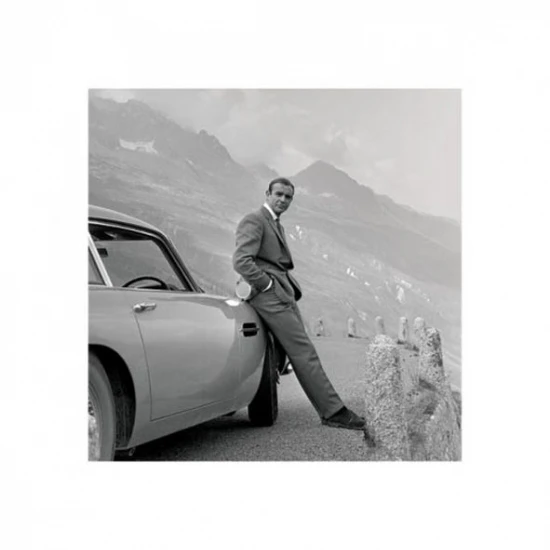 James Bond Aston Martin постер печать (16x16)|Таблички и знаки| |
