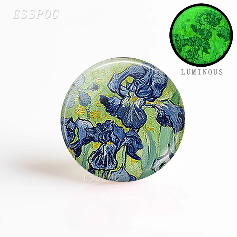 

5 шт./компл. модный светящийся кулон Ван Гога из радужной оболочки, 25 мм, Круглый Светящийся стеклянный выпуклый купол, ювелирные изделия из д...