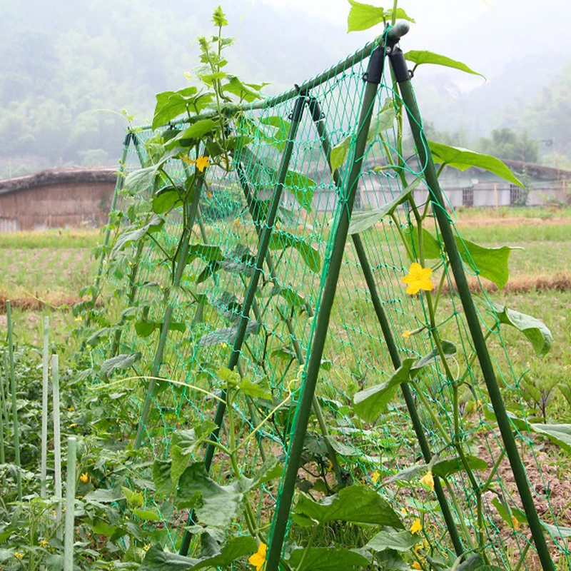 Promotion! Garden Green Nylon Trellis Netting Support Climbing Plant Nets Grow Fence 3.6x1.8M | Awnings