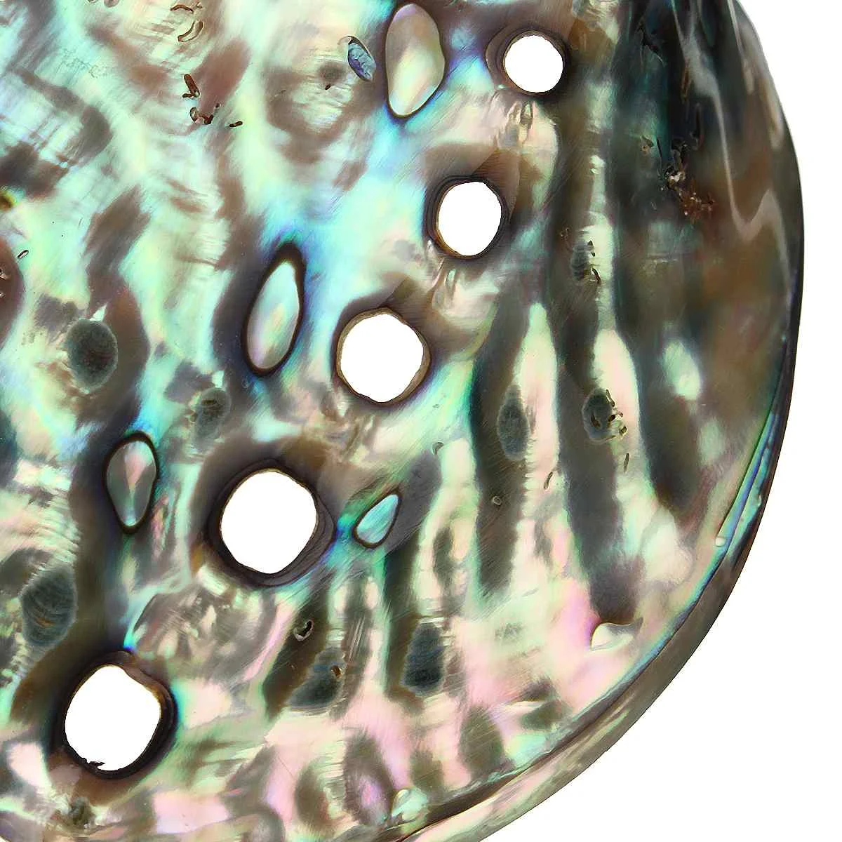 Натуральная ракушка Abalone украшения ручной работы домашнее свадебное украшение