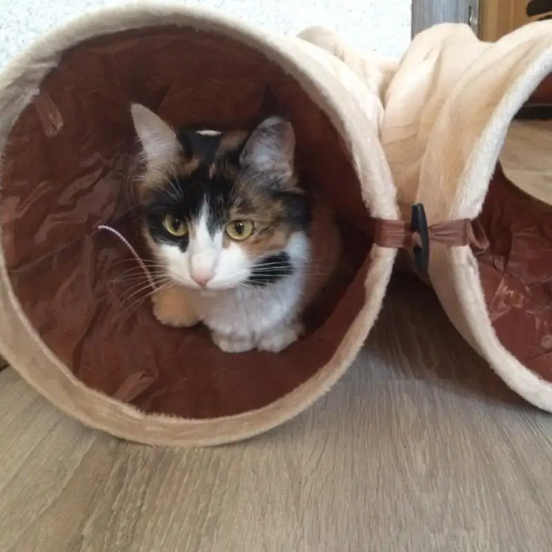 Cat Tunnel играть трубы 2 Отверстия Складная кошка щенок кролик тизер забавные скрыть