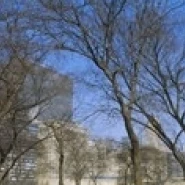 Низкий угол обзора статуи Авраама Линкольна в парке Грант парк Чикаго Иллинойс